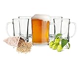 Sendez 6 Biergläser Set 0,5L Bierseidel Bierkrüge Bierglas Bierkrug mit Henkel Bier Pils Gläser