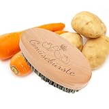 SEPGLITTER Gemüsebürste, 11 * 6cm Spülbürste Holz Gemüsebürste Holz für Kartoffeln Karotten Obst,...